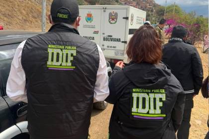 Bolivia registra 57 feminicidios en lo que va de año; en el 98% de los casos se identificó al atacante