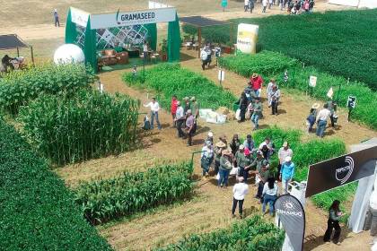 Este jueves arranca la Exposoya y anuncian nuevas variedades de soya y de otros cultivos en exposición