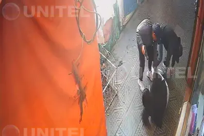 Video: Dos delincuentes atracan a una librecambistas en plena vía pública 