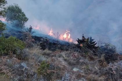 Una persona que combatía incendio en Mizque falleció, dice la Gobernación de Cochabamba