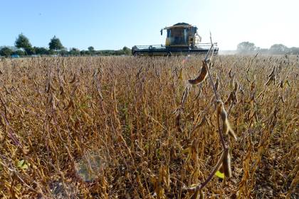 Exportaciones de soya y sus derivados cayeron en más de $us 690 millones en 2024, según el INE