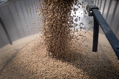Soyeros ven innecesario el arancel cero para la importación e insisten en la liberación plena para exportar el grano