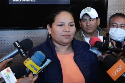 Partidarios de Deysi Choque presionan a Luis Arce para que acepte ser candidato a presidente