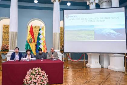 Bolivia declara emergencia nacional por los incendios forestales para agilizar la llegada de ayuda internacional