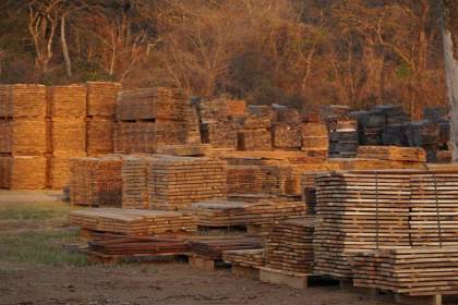 Exportadores instan al Gobierno a trabajar con el sector forestal ante la caída de las ventas externas