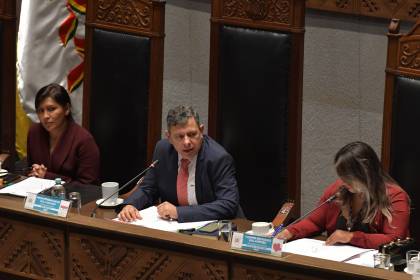 Presidente del Senado dice que la abrogación de la Ley 1720 será “uno de los primeros temas” a tratar este martes