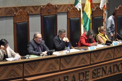 Senado conforma comisión especial para investigar la “mala” calidad de la gasolina 