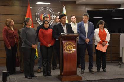 Caso madera: Comisión del Senado evidencia en Chile que examen a la carga boliviana no confirman droga