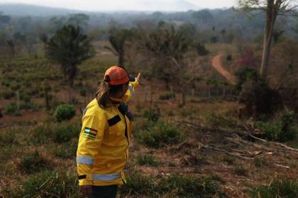 Incendios forestales golpean con fuerza la producción y el turismo de la Chiquitania