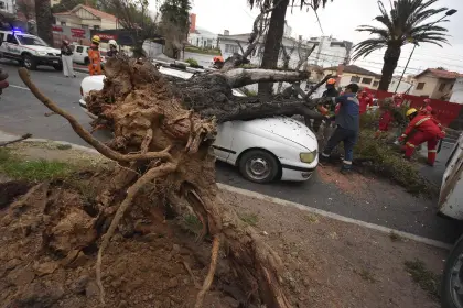 Fuertes ráfagas de hasta 55 km/h en Cochabamba tumban árboles, dañan viviendas y dejan al menos un herido