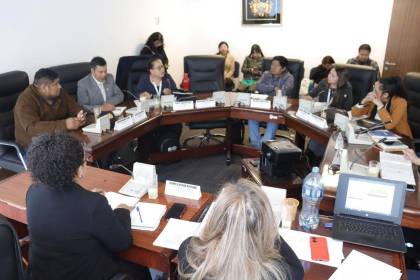 Comisión de Diputados avanza en el análisis de la ley para completar siete magistrados; se proyectan comicios para 2027