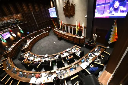 Con oposición del evismo, Senado sesiona por el crédito del BID de $us 250 millones; el informe del TSE se suspendió
