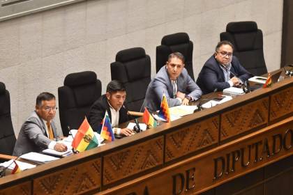 Litio: Diputada denuncia que “a puerta cerrada pretenden aprobar contrato”; la Policía resguarda el hemiciclo
