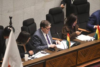 El Legislativo interpela al ministro de Hidrocarburos sobre el suministro de combustibles 