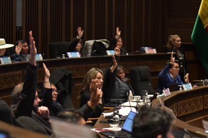 Senado aprueba proyecto de ley que pretende dejar sin efecto resolución de la ATT sobre nuevas tarifas aéreas