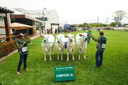Expocruz 2026 abre sus puertas y celebra 50 años con una feria llena de novedades