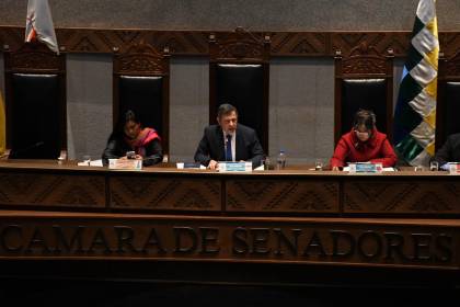 “No estamos satisfechos con el informe oral”, dice senadora de Libre tras respuestas de Medinaceli sobre gasolina