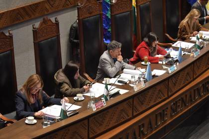 Viacha: Senado aprueba resolución y pide al Gobierno la reparación y compensación para las víctimas y los afectados