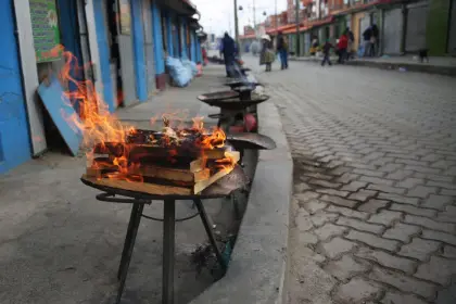 El Alto: Caen yatiris acusados de tráfico de animales silvestres usados en rituales