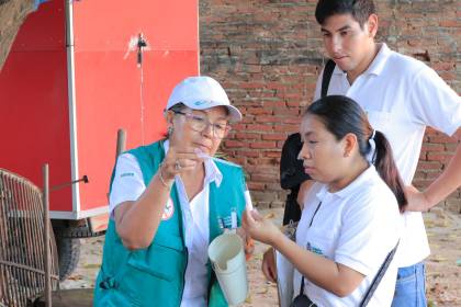 Santa Cruz: Sedes advierte sobre complicaciones graves por chikungunya y pide evitar la automedicación