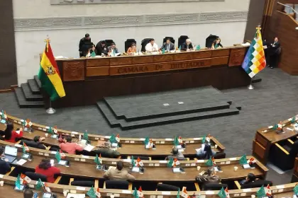 Diputados y Senadores sesionan este jueves para definir las 22 comisiones y 57 comités