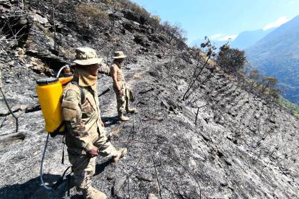 La Paz: Bomberos militares “liquidan” el incendio forestal en una comunidad de Yanacachi