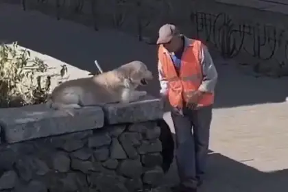 $output.data $output.data