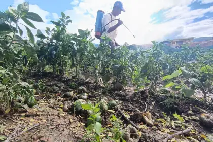 Ministro minimiza la emergencia en los Valles cruceño y dice que no hay reporte sobre pérdidas