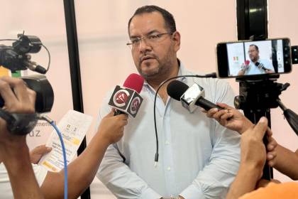 Subnacionales: ASIP y SOL pierden su personería jurídica y más de 250 candidaturas quedan inhabilitadas