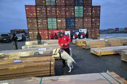 ¿Qué conocen la Fiscalía y el Gobierno de Bolivia sobre las más de 100 toneladas de droga incautadas en Chile?