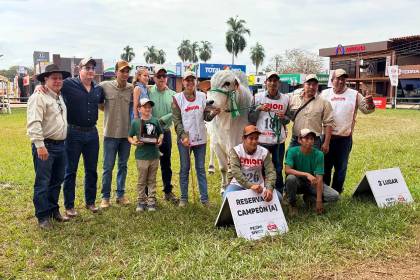 Fexposiv 2026 cierra con broche de oro y consagra a los Grandes Campeones de las razas cebuinas