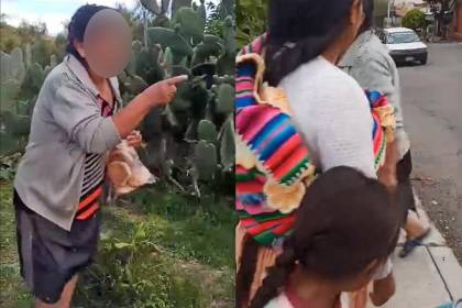 Surge nueva denuncia por unas tunas: graban a una mujer increpando a otra persona por sacar la fruta de un árbol