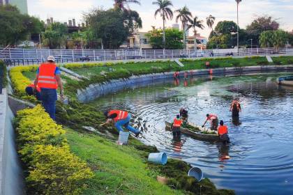 Anuncian el regreso de las esculturas de las sirenas y las hidras al parque El Arenal tras 16 años