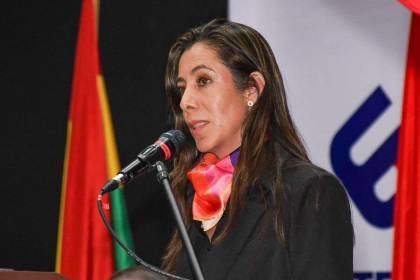 Reunión Paz y gobernadores: Tarija dice que es necesario abrogar paquete normativo para avanzar al 50-50