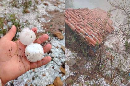 Granizada daña cultivos y deja animales muertos en al menos tres comunidades de Chuquisaca 