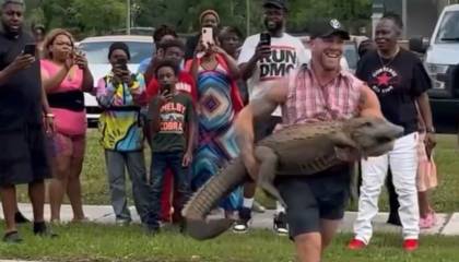 ¡Impresionante! Luchador de Artes Marciales, atrapó con sus manos un caimán 
