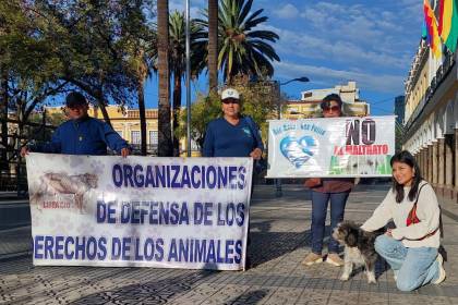 Organizaciones e instituciones en defensa de los animales anuncian marcha contra el maltrato y venta ilegal de mascotas