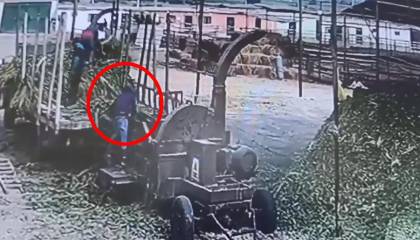 Cámara de seguridad registró el momento en que un hombre muere tras caer a una máquina trituradora de alimentos 