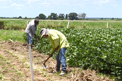 Anapo respalda ley de conversión de tierras para garantizar el acceso a créditos de pequeños productores