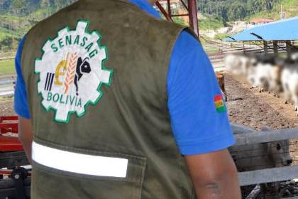 Destituyen a funcionario del Senasag que fraguó certificados de exportación de carne para una empresa