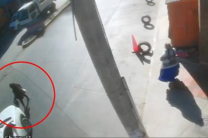 Imágenes sensibles: Buscan al chofer que atropelló a una mujer que falleció en el hospital