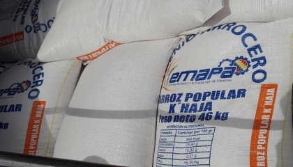 Ministro señala que Emapa está stockeada de arroz y busca abrir vías para exportarlo