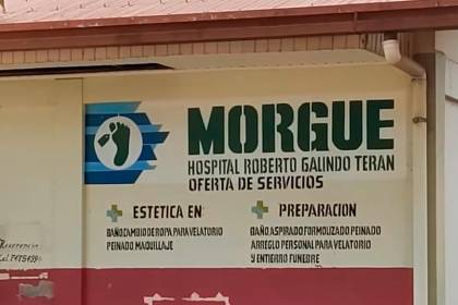 Hallan sin vida a dos personas atadas a árboles en Pando