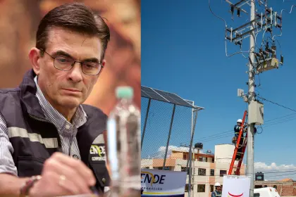 Paz dice que “ENDE está moribunda” y anuncia reestructuración