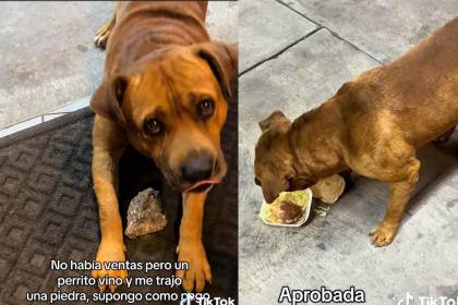 $output.data $output.data