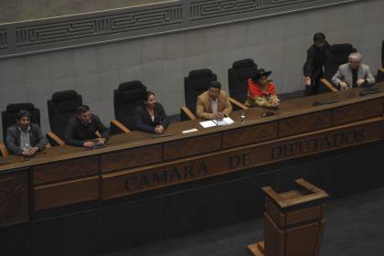 Cámara de Diputados convoca a sesión el jueves para conformar las comisiones y comités, dice legislador arcista 