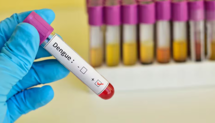 El Alto registra el primer caso sospechoso de dengue hemorrágico en paciente que llegó desde Coroico