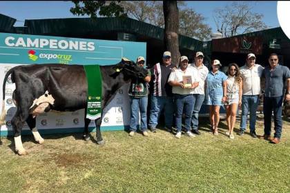 Expocruz 2025 ya tiene a sus primeros campeones de las razas cebuinas