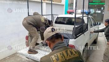 Hallan estrangulada en su domicilio a una joven universitaria extranjera