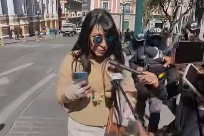 Abogado de exministra de Evo Morales presenta un recurso para que su defendida recupere su libertad